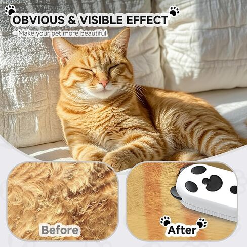Cat Steam Brush for Shedding, 4 in 1 Steamy Cat Brush with Cleanser, Dog Massage Grooming Brush, Pet Hair Cleaning Misting Comb (Panda) in Saudi Arabia