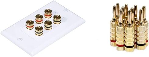 Monoprice 103326 Banana Binding Post Two-Piece Inset Coupler Wall Plate for 4 Speakers in Saudi Arabia