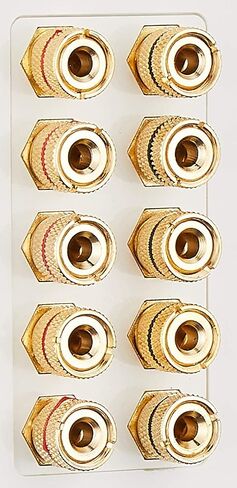Monoprice 103326 Banana Binding Post Two-Piece Inset Coupler Wall Plate for 4 Speakers in Saudi Arabia