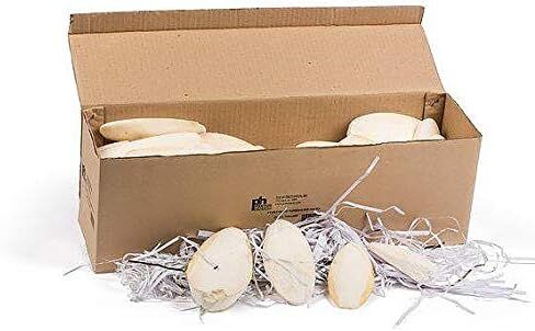 Cuttlebone Bulk 25 Count, Medium: 4 - 6 inches, for Birds, Tortoises in Kuwait