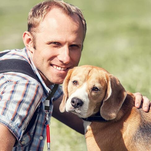 6 عبوات من صفارات الكلاب بالموجات فوق الصوتية، صفارة كلب صامتة بالموجات فوق الصوتية مع حبل احترافي لاستدعاء الكلاب وإيقاف نباح الكلاب، صفارة تدريب للكلاب، مع حبل حزام أسود وجهاز نقر (أسود + أحمر) in Kuwait