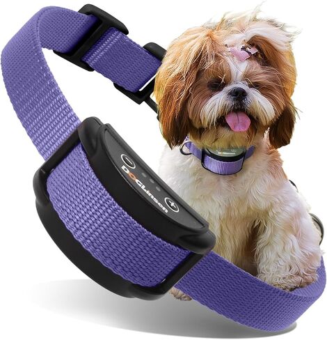 Dog Bark Collar, No Shock Bark Collar for Small Puppy Dogs, No Shock Barking Collar, Smart No Bark Collar, Smart Automatic Anti Bark Collar with 5 Sensitivity No Shock Vibration Collar in Saudi Arabia