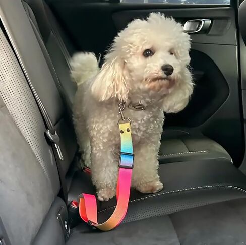 Dog Car Seat Belt, Adjustable Length, Colorful, Keep Pet Safe While Traveling, Adjustable Dog Belt Safety Leash, Large in Saudi Arabia