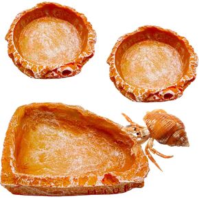2 Pack Small Reptile Food Bowls, Reptile Feeding Terrarium Bowls for Bearded Dragon Lizard Frog Gecko Tortoise Hermit Crab Snail (Brown B)