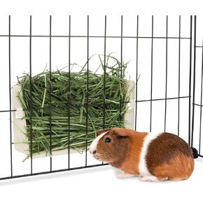 Hypeety Rabbit Hay Feeder Guinea Pig Hay Feeder Plastic Bunny Hay Feeder Automatic Hay Feeder Cage Accessories for Bunny Rabbit Guinea Pig Chinchillas Small Animals (Blue)