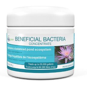 Aquascape 98949 Beneficial Bacteria Concentrate for Pond and Water Features, 1.1-Pound, white