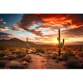 Saguaro Cacti Reptile Habitat Background Sunset Desert with Dramatic Sky Terrarium Background Rugged Desert Terrain Landscape Aquarium Background Wallpaper Decor for Tanks Vinyl 36x18in
