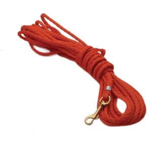 Dokken's Two-In-One 30-Ft. Puppy Check Cord