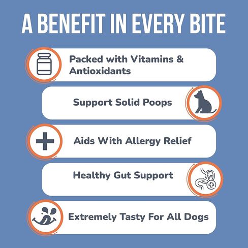 Probiotics for Dogs, Allergy Relief Soft Chew Treats, Fiber Supplement & Enzyme Prebiotic for Digestion Support, Itchy Skin, Reduce Diarrhea - Pumpkin for Dogs, Made in USA (90 ct) in Kuwait