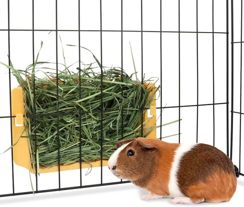 Hypeety Rabbit Hay Feeder Guinea Pig Hay Feeder Plastic Bunny Hay Feeder Automatic Hay Feeder Cage Accessories for Bunny Rabbit Guinea Pig Chinchillas Small Animals (Blue) in Saudi Arabia