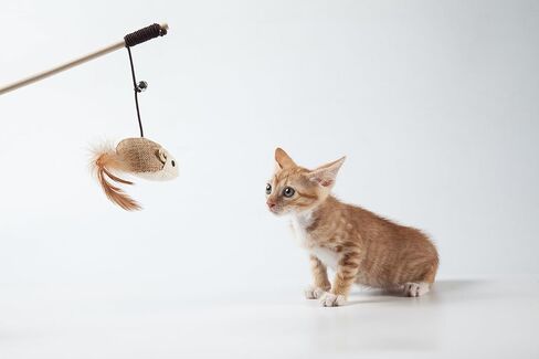 Cat Teaser Cat Kitten Toys Set Natural Sisal Wand Teasers with Mouse, Bell, Feather, Elastic String, and Sturdy Wood Rod in Saudi Arabia