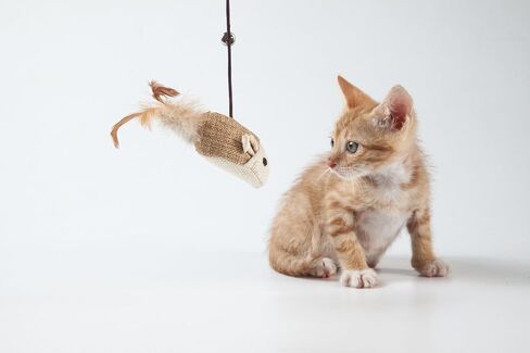Cat Teaser Cat Kitten Toys Set Natural Sisal Wand Teasers with Mouse, Bell, Feather, Elastic String, and Sturdy Wood Rod in Saudi Arabia