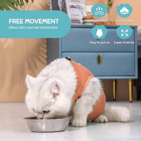 Avont Cat Recovery Suit - Kitten Onesie for Cats After Surgery in Kuwait