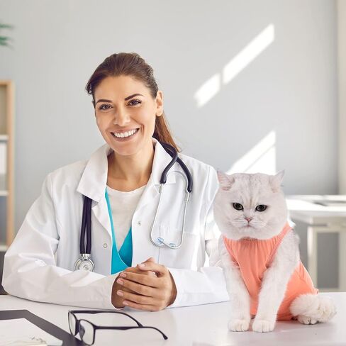 Avont Cat Recovery Suit - Kitten Onesie for Cats After Surgery in Kuwait