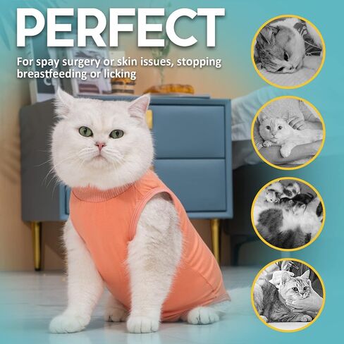 Avont Cat Recovery Suit - Kitten Onesie for Cats After Surgery in Kuwait