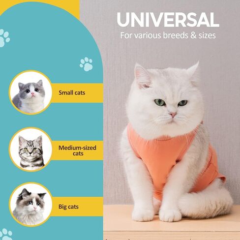 Avont Cat Recovery Suit - Kitten Onesie for Cats After Surgery in Kuwait