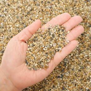 Coarse Sand Stone - Succulents and Cactus Bonsai DIY Projects Rocks, Decorative Gravel for Plants and Vases Fillers，Terrarium, Fairy Gardening, Natural Stone Top Dressing for Potted Plants.1.6lb in Kuwait