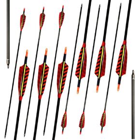 12 Pack Archery 500 Spine Carbon Arrows with Real Feathers and Removable Tips for Targeting Hunting Practice