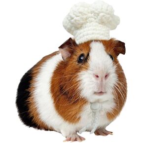 Guinea Pig Chef Hat - Hand Knitted Small Animal Cooking Chef Cap with Adjustable Strap Halloween Costume Outfit Prop Clothes Accessories for Rabbit Bunny Chinchilla Kitten Puppy (Small)