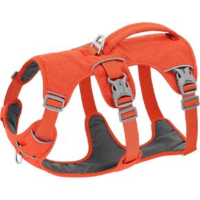 Beirui Escape Proof Dog Harness,Soft Padded Dog Vest No Pull with Lift Handle,Durable Reflective Waterproof Full Body Pet Harness for Small Medium Dogs Walking Training(Orange,Chest 18-32")