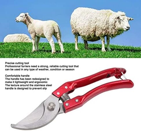 Goat Hoof Trimmers, Professional Animal Toe Scissors, Lightweight Ergonomic Design, Stainless Steel, Sheep Hoof Trimmers (Red) in Kuwait