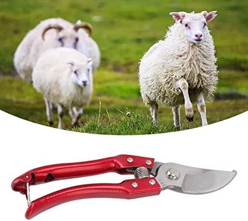 Goat Hoof Trimmers, Professional Animal Toe Scissors, Lightweight Ergonomic Design, Stainless Steel, Sheep Hoof Trimmers (Red) in Kuwait