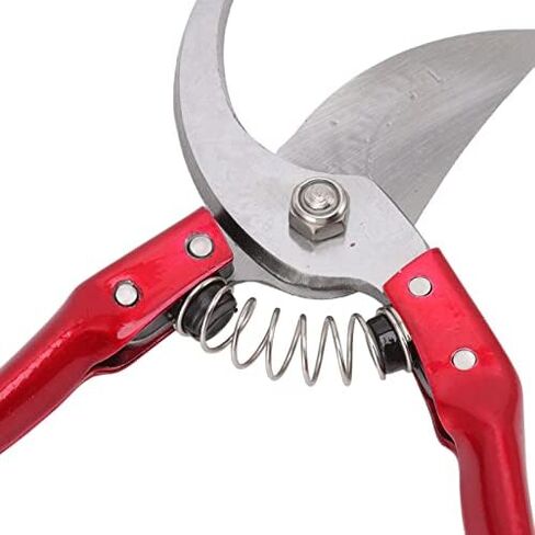 Goat Hoof Trimmers, Professional Animal Toe Scissors, Lightweight Ergonomic Design, Stainless Steel, Sheep Hoof Trimmers (Red) in Kuwait