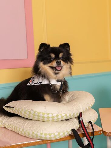 Stroller Cushion for Pets, Stroller not Included, Liner, BerryMore Edition, Harryspet, Pet Mattress, Pet Strollers, Cushion only (Pink Raspberry, S) in Kuwait