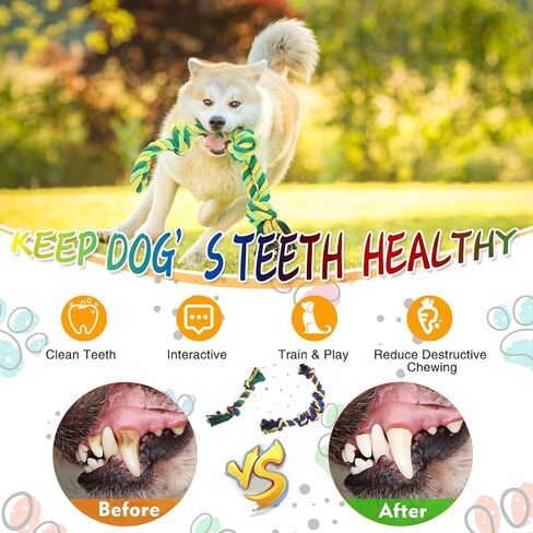 12 حزمة كبيرة من ألعاب مضغ الكلاب للمضغ العدواني للكلاب شديدة التحمل ألعاب حبل للكلاب من القطن الكبير لتنظيف أسنان الكلاب الكبيرة لتنظيف أسنان الكلاب من السلالات المتوسطة والكبيرة in Kuwait