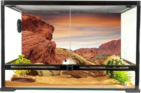 YongFoto Reptile Terrarium Background 36x18 inch Reptile Tank Background Desert Rocky Bush Thorns Western Wilderness Reptile Habitat Background Bearded Dragon Fish Tank Aquarium Background Backdrop in Saudi Arabia