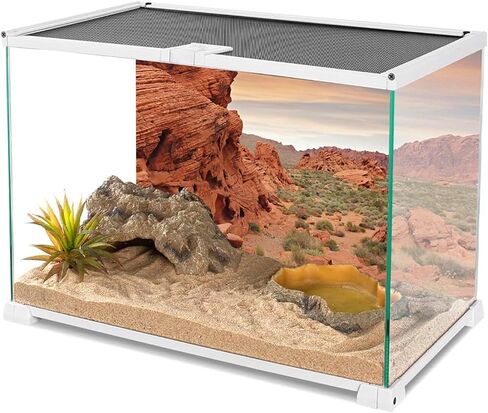 YongFoto Reptile Terrarium Background 36x18 inch Reptile Tank Background Desert Rocky Bush Thorns Western Wilderness Reptile Habitat Background Bearded Dragon Fish Tank Aquarium Background Backdrop in Saudi Arabia