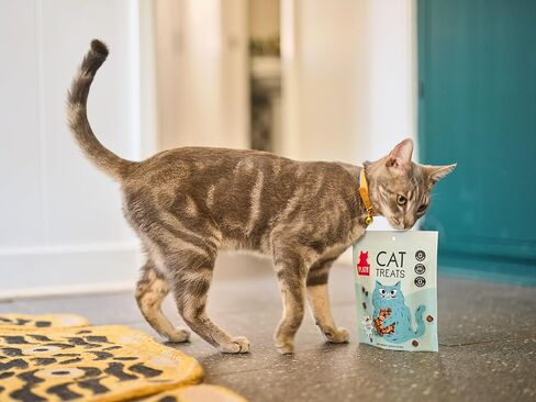 PLATO Pet Treats Air-Dried Cat Treats Chicken Recipe, Grain Free, All Natural, Made in The USA, 2.5oz in Kuwait