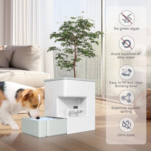 Automatic 8L Pet Waterer - Gravity Water Dispenser for Cats, Puppies, and Dogs.Prevents Dirty Water Backflow, Easy to Refill（White, Green, White） in Saudi Arabia