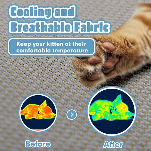 Kitten Tunnel Bed Mat, Glow in The Dark Kitten Bed for Indoor Kittens, Perfect Kitten Gift Toy with 3D Memory Foam, Detachable & Machine Washable, Non-Slip Bottom, Blue S in Saudi Arabia