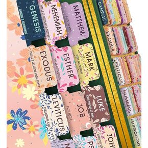 Bible Tabs Soft Pastel - Soul Nourishing Book Summaries - 66 Peel-and-Stick SilkTouch Laminated Bible Tabs Large Print | Bible Tabs for Women, Books of the Bible Tabs for Study Bible, Bible Index Tabs