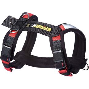 Urban Trail Adjustable Harness