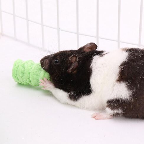عجلة Wodent مقاس 11 بوصة ودرع ذيل - حزمة عجلة الجري للحيوانات الأليفة الصغيرة مع مكافآت Critter Pops in Kuwait