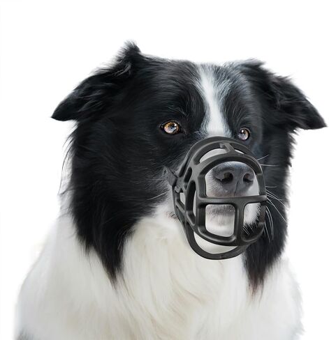 Basket Muzzle Allows Panting Drinking, Anti Biting Chewing, Sturdy Lightweight, Suitable for Grooming Trimming Training, for Small Medium Large Dogs (Black, Size1) in Saudi Arabia