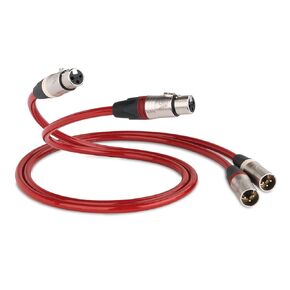 QED Reference Analogue XLR 40 1M