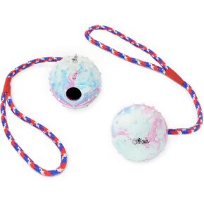 CHIWAVA 2 Pack 2.4" Rope Rubber Dog Toys,Training Ball on Rope, Tug Fetch Ball for Small Medium Dog