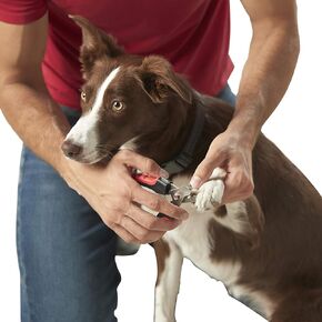 Franklin Sports Pet Supply - مقص أظافر للكلاب والقطط مع واقي أمان - العناية بالحيوانات الأليفة - الفولاذ المقاوم للصدأ - درجة احترافية