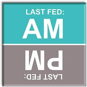 Turquoise AM PM Magnetic Pet Feeder Reminder - Refrigerator Magnet for Pet Cat Dog Owners