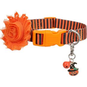 Fall Dog Collar with Removable Flower Accessory and Pumpkin Pendant