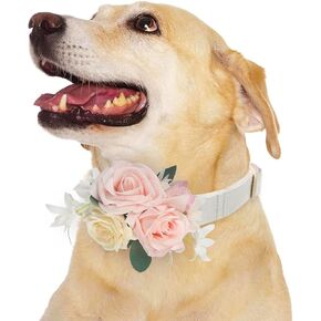 Rinlong Flower for Collars Fall Wedding Flower Dog Collar Charms Female Puppy Cat Grooming Accessory | Dried Flower Burnt Orange