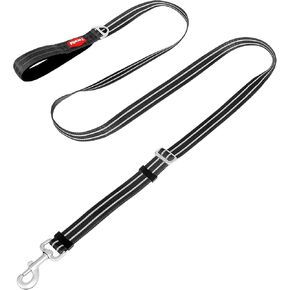 Enhanced Comfort 6-Foot Dog Leash，Adjustable & Reflective Dog Leash，Soft Grip with Neoprene Padding，Durable Nylon Cord for Medium to Large Breeds Training & Everyday Use（Purple-L）