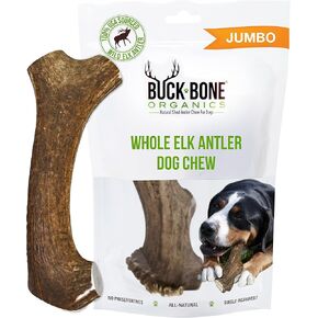 Buck Bone Organics Dog Chews, Elk Antlers for Dogs, Long Lasting Dog Bones for Aggressive Chewers, All Natural, No Preservatives, Wild Shed in The USA (Jumbo)
