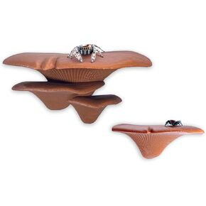 Jumping Spider Mushroom Shelf, Magnetically Concealed Jumping Spider Habitat,Serves As Enclosure Decorate Accessories for Spider Climbing Feeding and Platforms (Gradient)