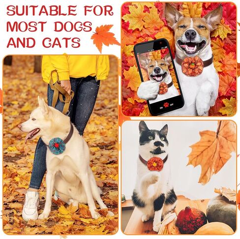 Silkfly 200 Pcs Fall Dog Collar Flowers Charms Bulk Thanksgiving Pet Flower Collar Bow Ties Holiday Dog Accessories Grooming Supplies Puppy Bows Slides Attachment for Small Medium Large Dogs Cat in Saudi Arabia