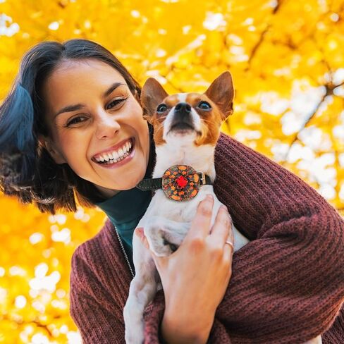 Silkfly 200 Pcs Fall Dog Collar Flowers Charms Bulk Thanksgiving Pet Flower Collar Bow Ties Holiday Dog Accessories Grooming Supplies Puppy Bows Slides Attachment for Small Medium Large Dogs Cat in Saudi Arabia
