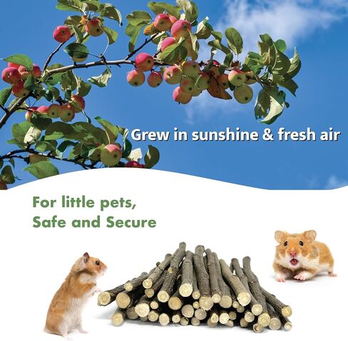 Rabbit Chew Stick 600g Treat Natural Apple Branch Apple Sticks Sweet Bamboo Timothy Hay Hamster Chinchilla Gerbil Squirrel Guinea Pig Bunny Small Animal in Saudi Arabia